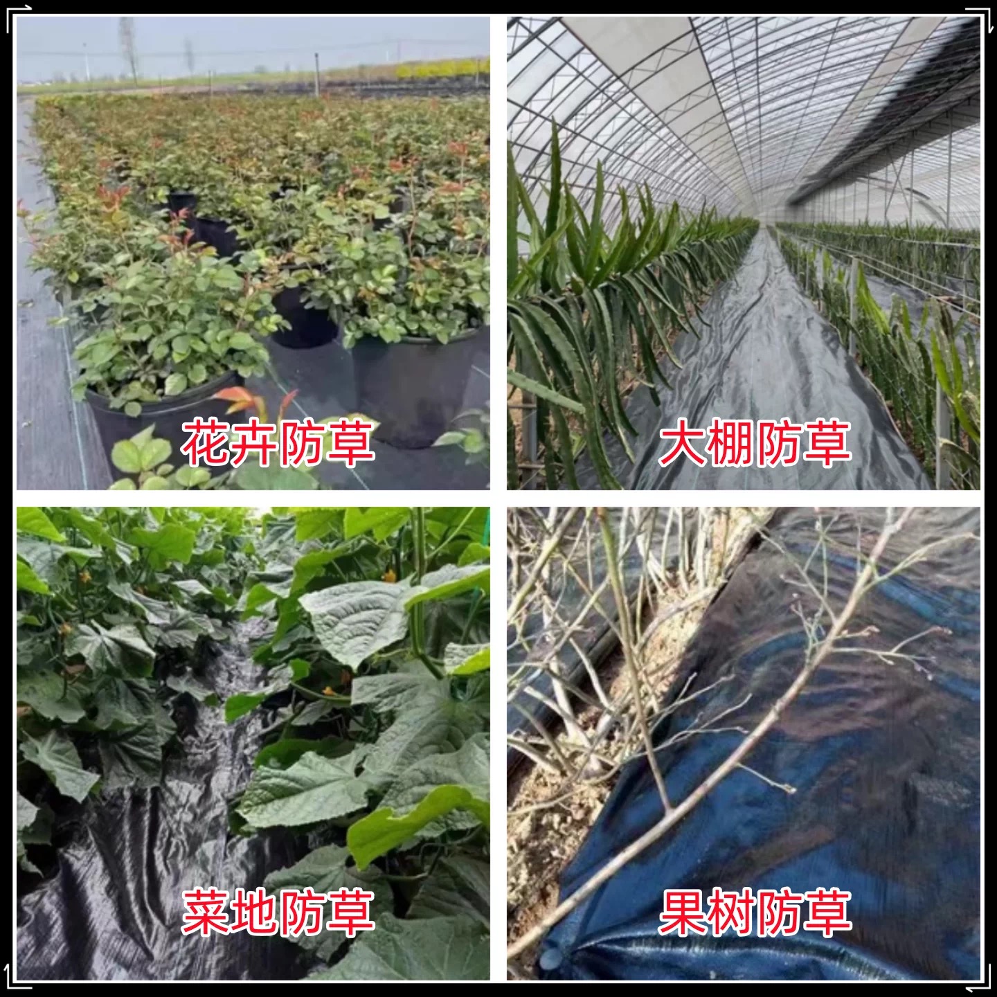 广州市黑白养殖膜防草布 - 方案