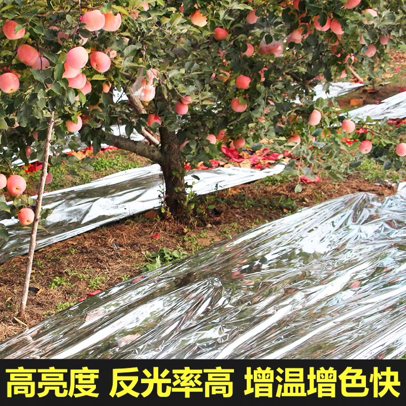 广州市工程膜果树反光膜 - 价格